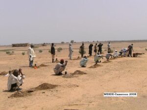 Lire la suite à propos de l’article ENVIRONMENTAL COMPONENT