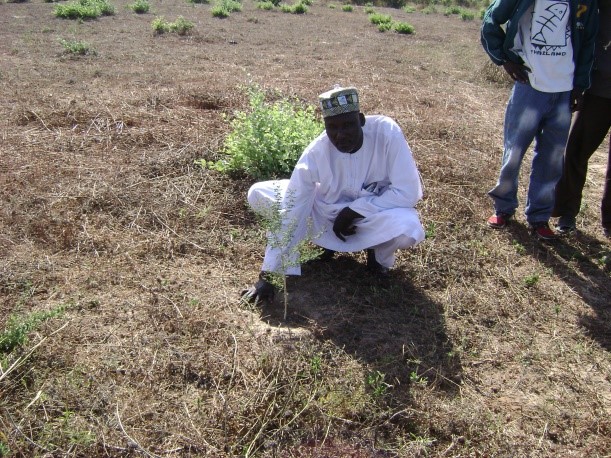 You are currently viewing ENVIRONMENT COMPONENT